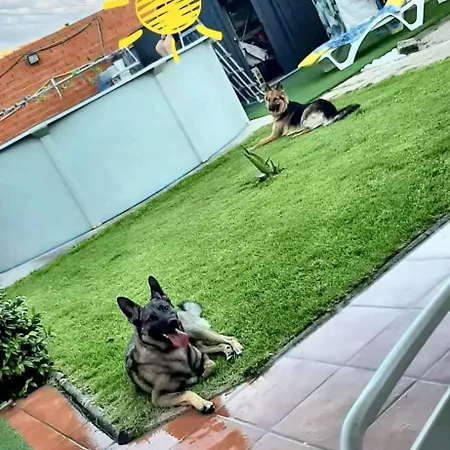 Charming House In With Private Pool * Chatun