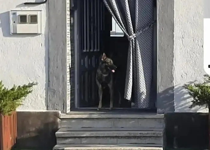 Charming House In With Private Pool * Chatún