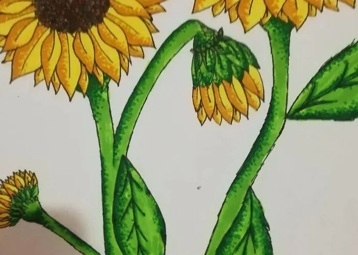 Charming House In With Private Pool Chatún