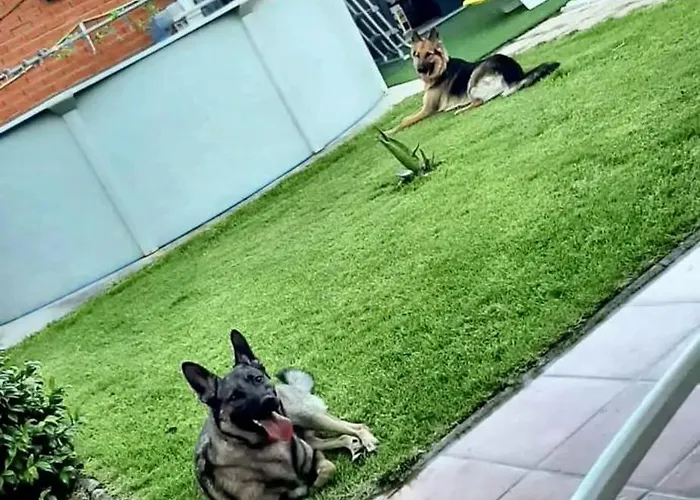 Charming House In With Private Pool * Chatún