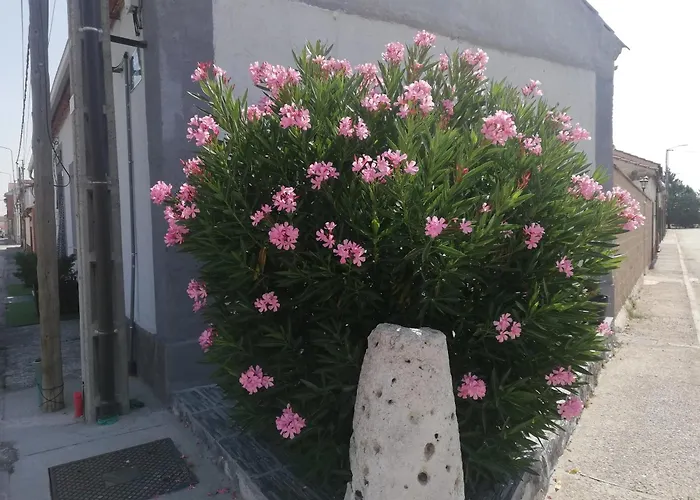 Nyaraló Charming House In With Private Pool *